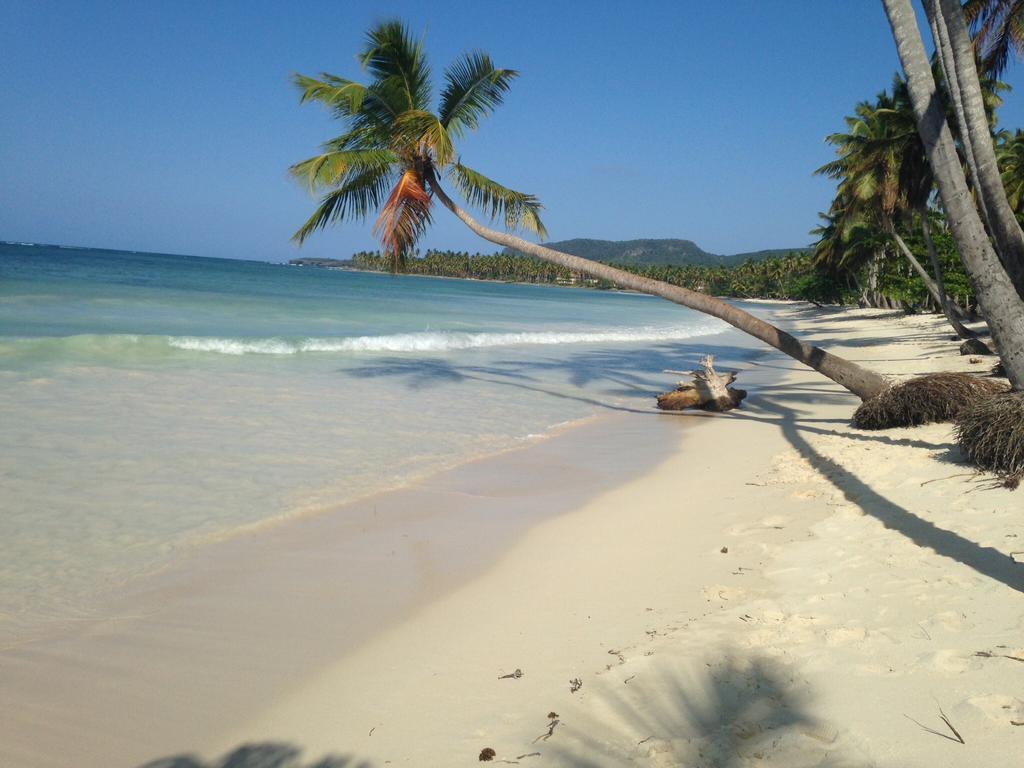 Casa Lilly Bed & Breakfast Cabarete Ngoại thất bức ảnh